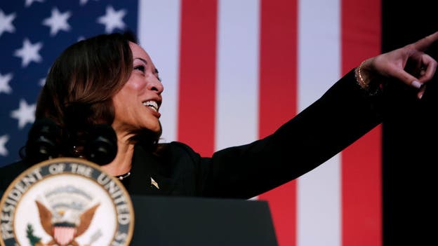 DNC meets Wednesday to decide on Harris nomination timing