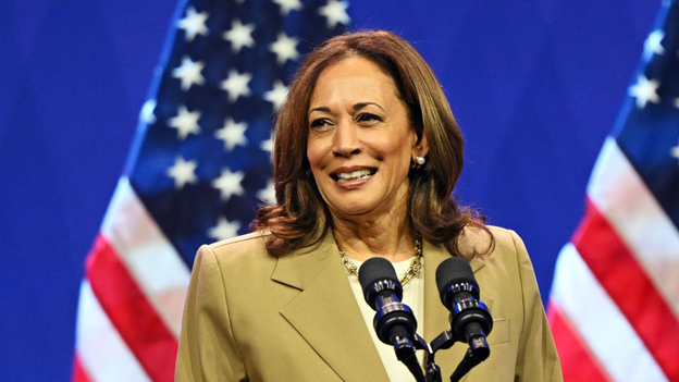 Dems hype Harris as Trump 'prosecutor' in election, but critics slam her legal career