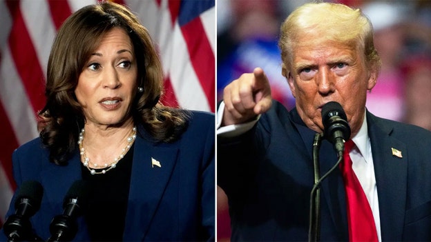 Trump leads VP Harris in hypothetical 2024 matchup after Biden's withdrawal from race