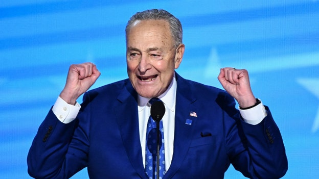 Schumer pronuncia un discurso sobre antisemitismo en el DNC mientras unos alborotadores queman una bandera estadounidense fuera de la convención