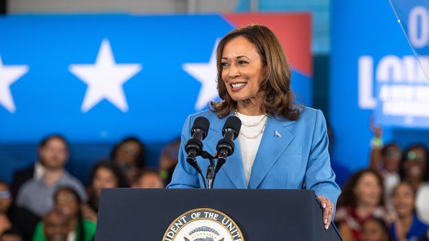 Dem strategists say Harris needs to strike 'right balance' at DNC, seize on 'momentum'