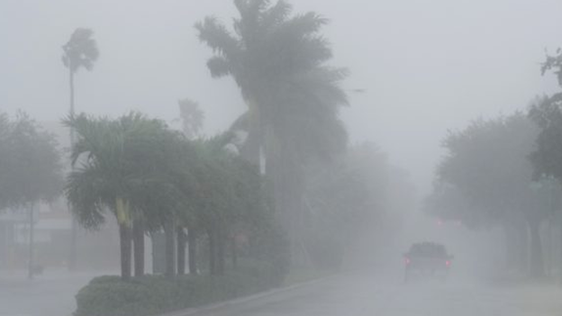 President Biden assured Sarasota mayor government will help residents