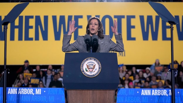 Kamala Harris rally attendees grow silent after she jokingly told them to 'shout your own name'