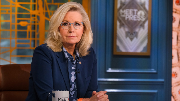 Liz Cheney bashes Trump in new key battleground Harris ad as election hits final sprint