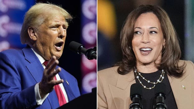 2024 showdown: Harris, Trump hold dueling Texas rallies to hammer home these key issues