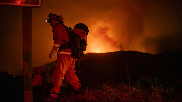 Los Angeles veterinarian's family living at clinic after losing home in Palisades Fire