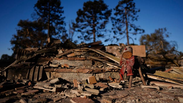 Japan to donate $2 million to wildfire recovery efforts