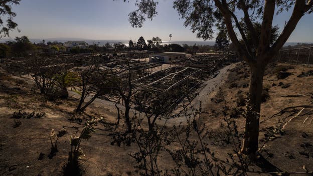 At least 24 people dead as Southern California wildfires continue: officials