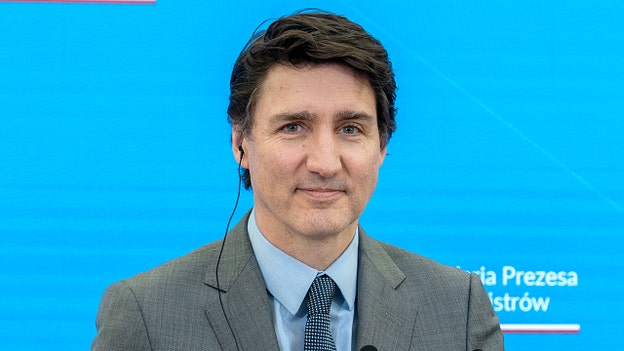 Canada's Trudeau comments on midair collision in US