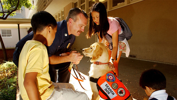 Former shelter dogs assisting in search efforts amid Southern California wildfire destruction