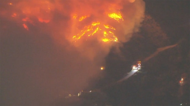 New Fire breaks out in Hollywood Hills