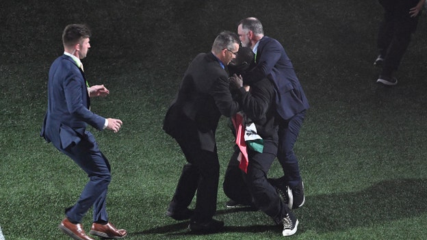 Super Bowl LIX security tackles person with flag supporting Palestinians, Sudanese during halftime s