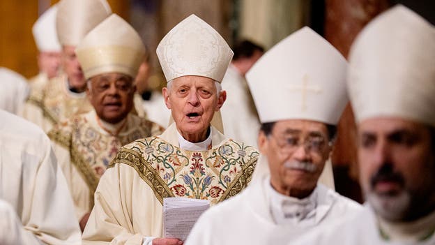 Who are the cardinals Pope Francis appointed in his 12 years as pontiff?