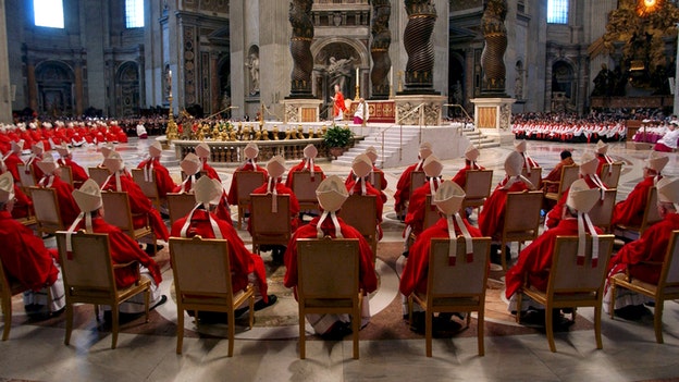 Where did Cardinals fly in from to vote on a new pope?