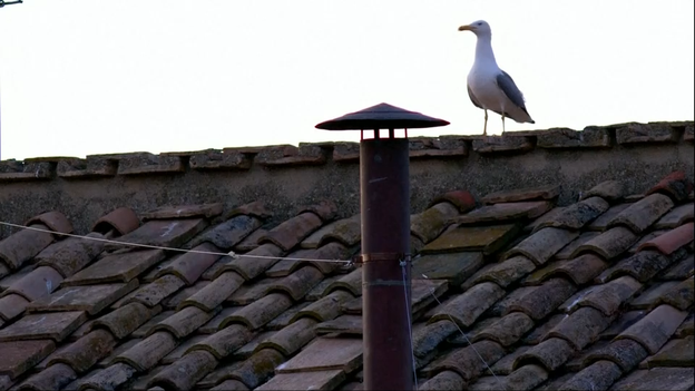 All eyes on Sistine Chapel chimney, awaiting smoke after first vote
