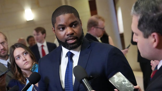 Rep. Byron Donalds decries ‘leftist agitators' waving 'flags of other countries’ in protests