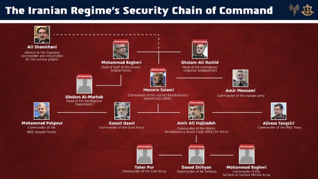 More than 20 Iranian commanders killed in Israeli operation, IDF says