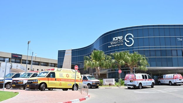 Israel’s Mossad offers telemedicine help to Iranians after war: 'We stand with you'