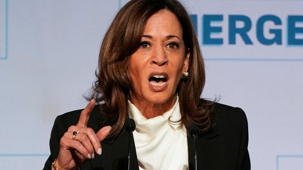 Harris ripped for 'appalling' LA ICE raids statement blaming Trump: 'The country dodged a bullet'