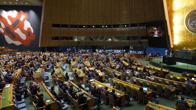 Understanding the United Nations General Assembly: A key player in global peacekeeping