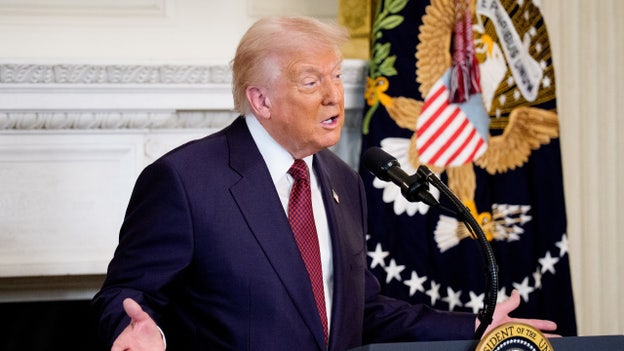 Trump: Democrats disrupted 20,000 flights, 'people are hurt so badly'