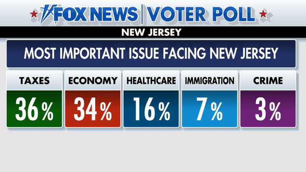 New Jersey voters identify their top issues