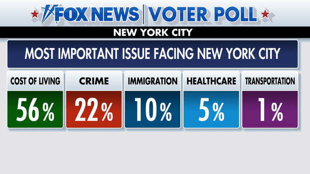 New York City voters identify their top issues
