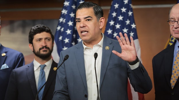 Top Dem blasts claims he cherry-picked 92 Epstein images from 95,000-file cache