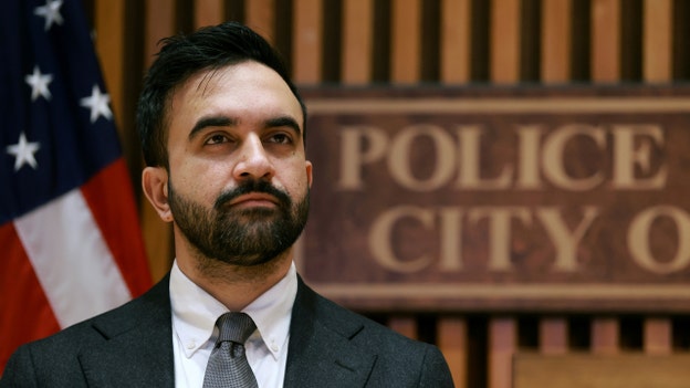 Mamdani, Minneapolis council member claim woman shot by ICE agent was 'murdered'