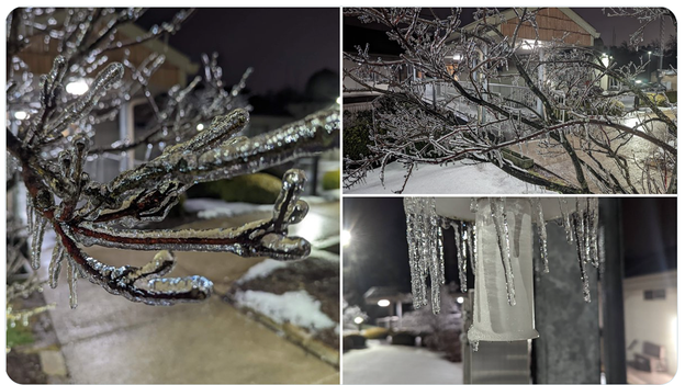 PHOTOS: Ice coats trees in Moon, Pennsylvania