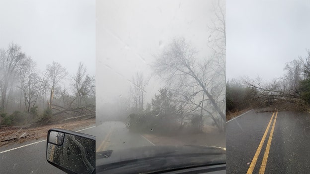 PHOTO: Trees down in Alabama, blocking highway