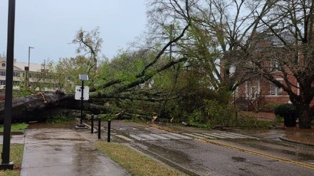 Storm damage reported on Mississippi State University campus