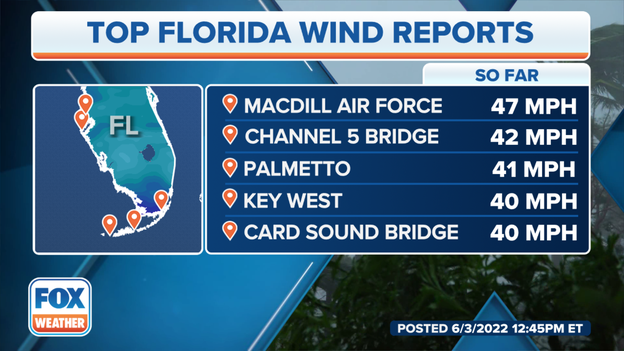 Wind gusts top 40 mph along Florida's West Coast