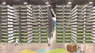 Farming in the Sky: Inside a Wall Street-Backed Vertical Farm