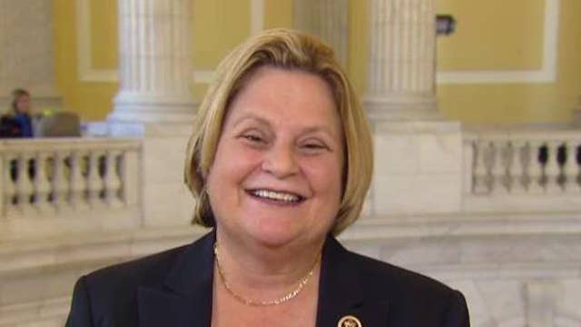 Lawmaker calls for congressional advisor on Iran