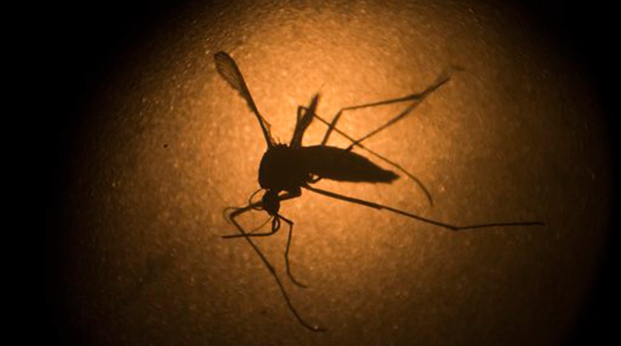 CDC director talks Zika virus