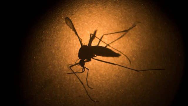 Are the fears over Zika valid?