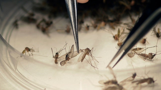 Zika funding battle heats up