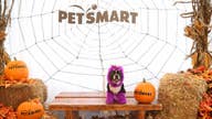 Check Out These Pawesome Costumes For Halloween