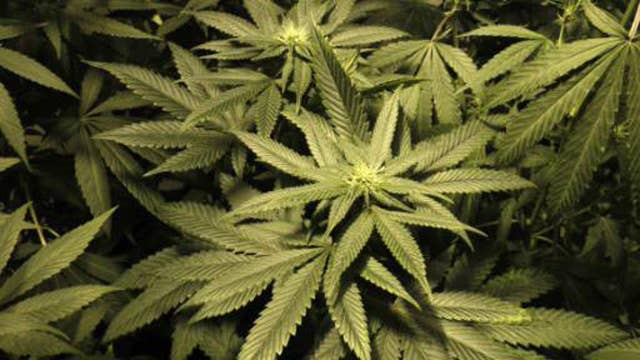 The debate over legalizing recreational marijuana