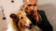 Dog Nation's Cesar Millan: I'm an Immigrant Success Story