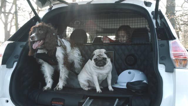 Is this the ‘pawfect’ vehicle for you and your dog?