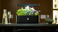 Exclusive: This indoor smart garden is like a 'Nespresso' for gardeners