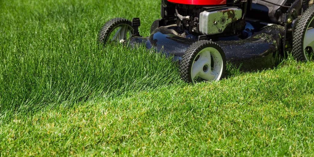 Student 2025 lawn mowing