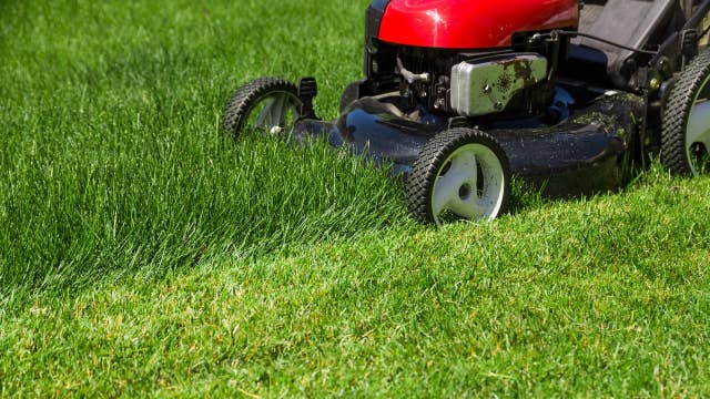 Teen makes $100K with lawn mowing business