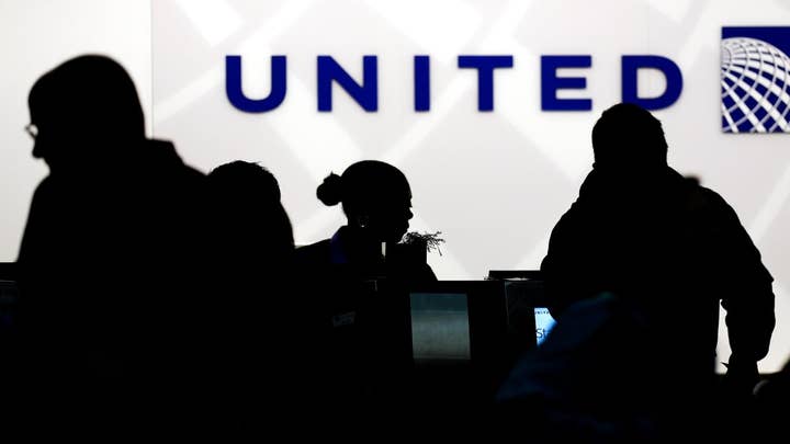 Dog dies on United Airlines flight