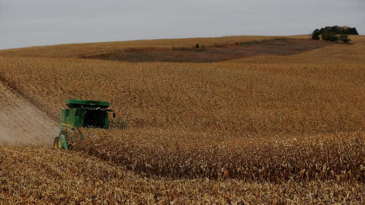 Will tariffs help American farmers in the long-term?