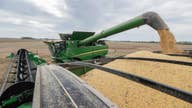 Farmers fear China will never return to the US soybean market
