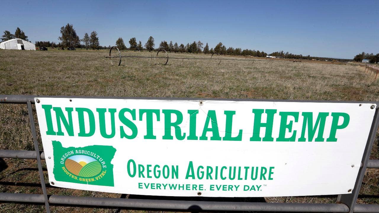Hemp CEO Thanks to Farm Bill, the hemp revolution will now be 'Made in