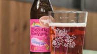 Boston Beer CEO: $300M Dogfish Head merger to help brewer compete with Coors, Anheuser-Busch